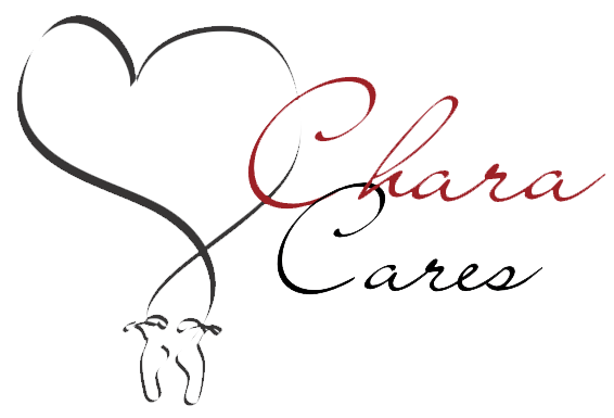 Chara Cares Chara Christian Dance Academy logo